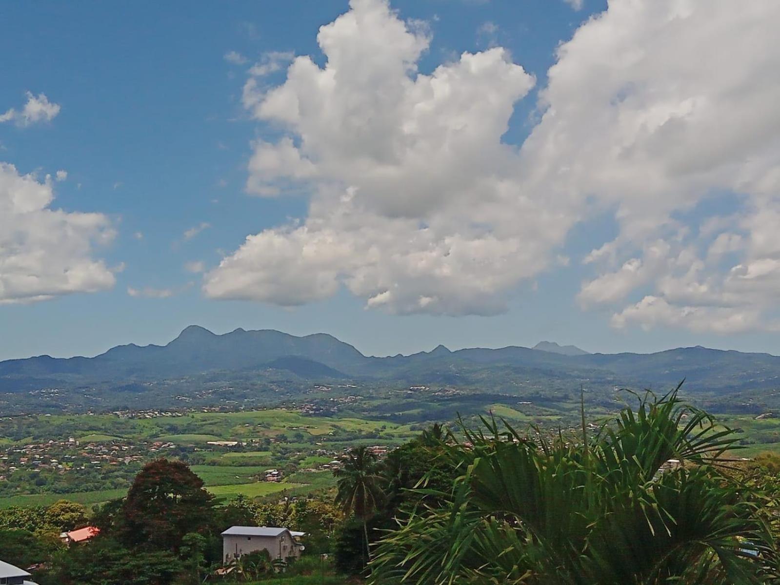 Martinique Vue D'Exception Et Piscine Villa Le Lamentin Dış mekan fotoğraf